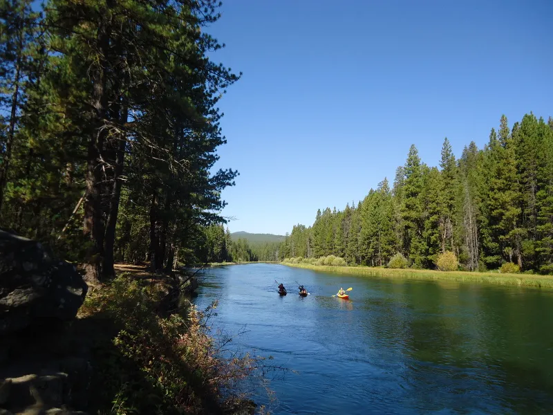 Naturlandschaft am Wasser USA