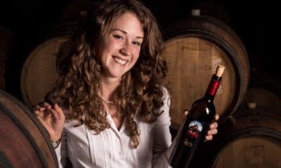 Vom Weingut Garda Trentino: seltener Wein.