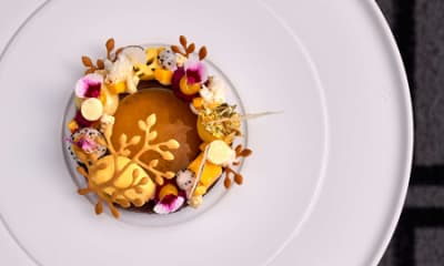 Komposition von annette sandner oswalds gourmetstube