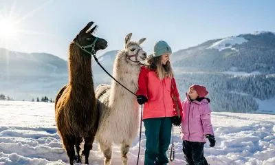 Starkes Band zwischen Mensch und Tier