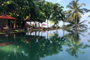Underneath the Mango Tree ©Hollmann - UTMT