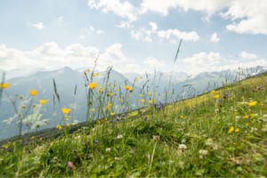 Bergpanorama ©︎ IMPULS HOTEL TIROL