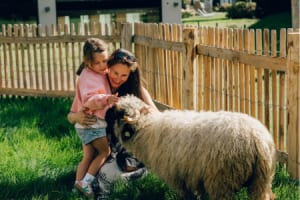 Seppis_Kletterscheune_in_Natur_und_Landwirtschaft.png
