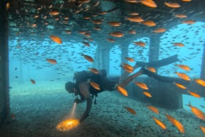 BP_Diver_picking_up_a_shell.png