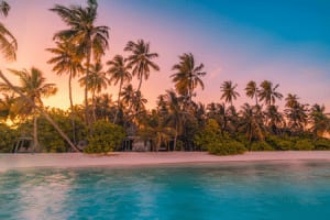 vilu_reef_-_sunset_beach.png