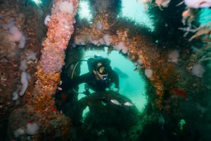 Diving_Panama_City_Beach.png