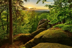 12136_Altvatergebirge_Jeseniky_sdruzeni_c.r.png