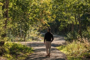 Natur_Naturresort_und_Spa_Schindelbruch_Natur.png